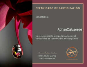 Adrian-Calvanese-Fitomedicina-Astroalquimica-AstroHerbarium